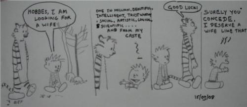 Calvin’s search for wife!